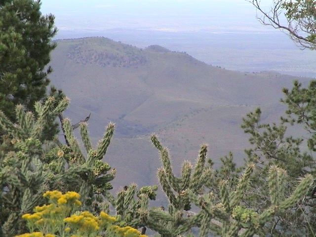 Mt McElroy 178.jpg